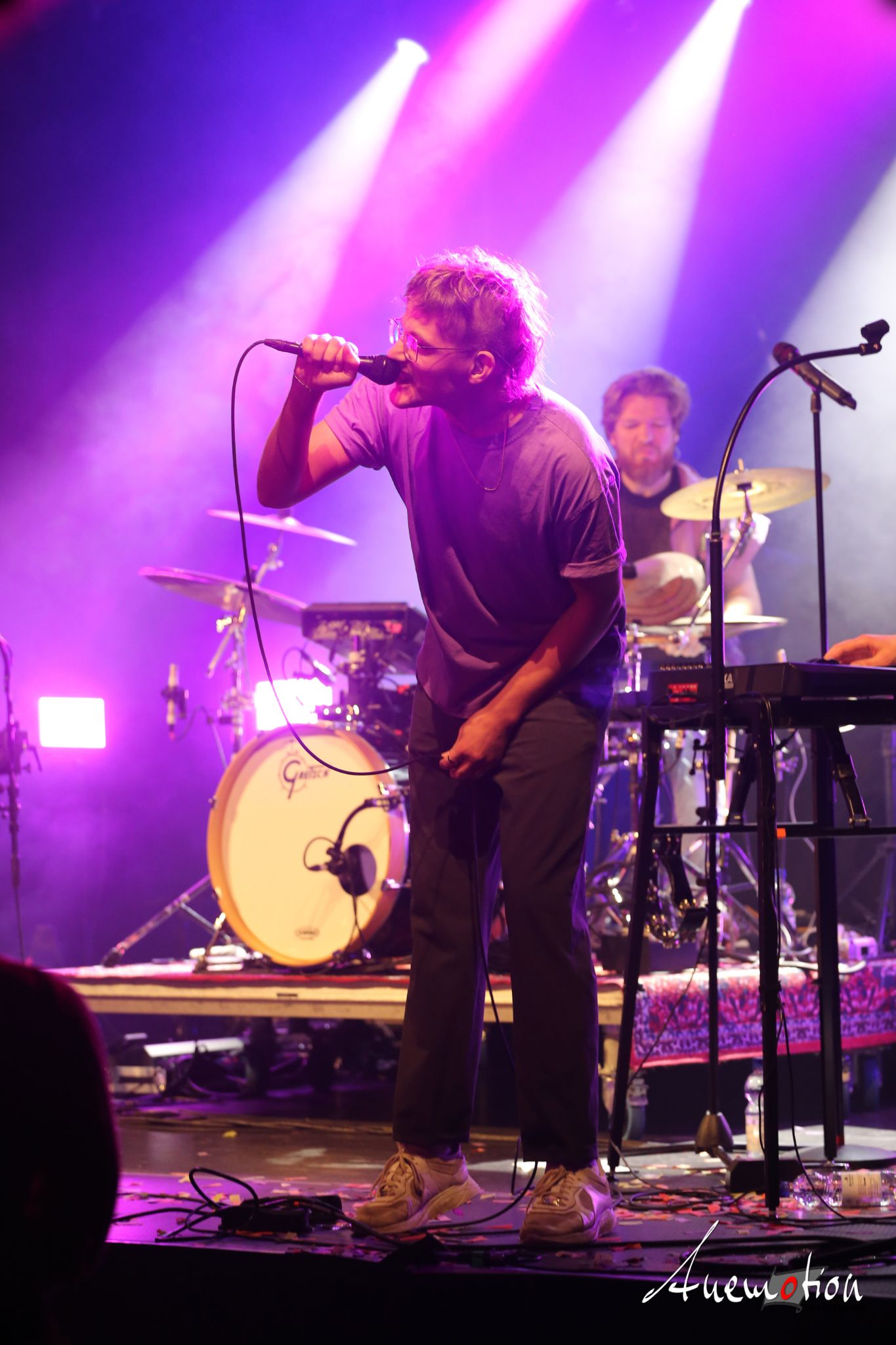 ElephantsFalling (86)